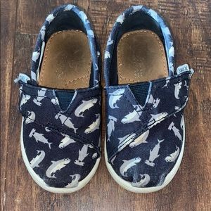 TOMS TODDLER SZ 6